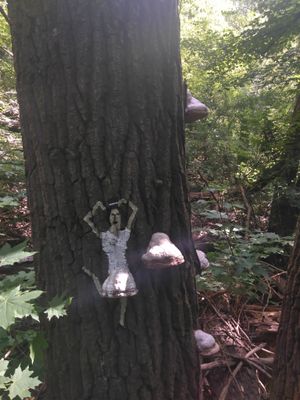 Свободна работа: 486810114_1234635801474786_6197889436091571701_n.CD4_537D.jpg